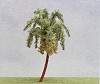 Palma in fiore - Misura 14 (Conf. da 1 pezzo)